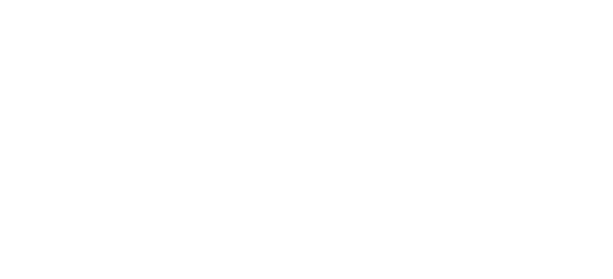 Instituto IDRA